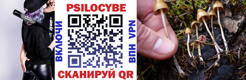 Галлюциногенные грибы ЛСД  Купить где  Знаменск 
