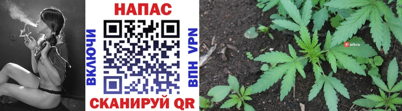 Канабис семена  Купить закладки  Знаменск 